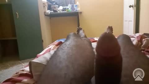 Antique-Shirt2516 online show from February 7, 10:37 pm