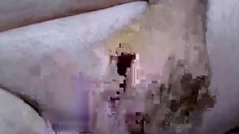 troy1965 online show from April 11, 5:36 am