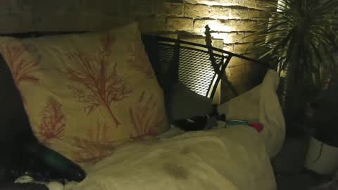 tysonjameson online show from October 4, 1:10 am