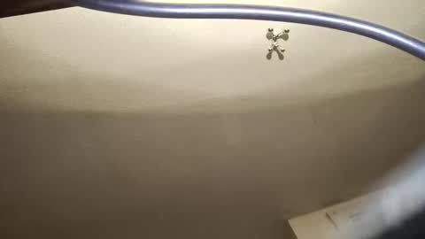 uncut_widda_bigbutt online show from February 3, 4:14 am