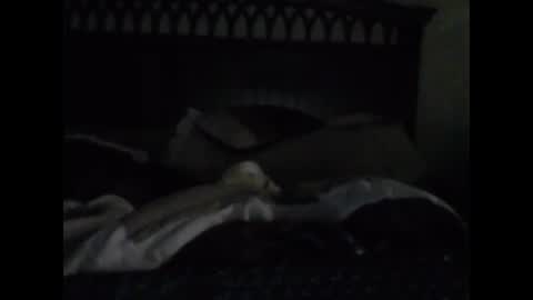 untuchabl1 online show from December 12, 7:52 am