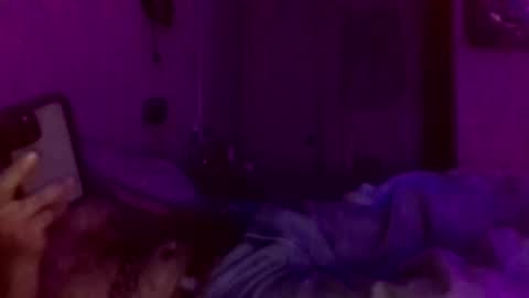 urdaddy875867 online show from February 23, 9:25 pm