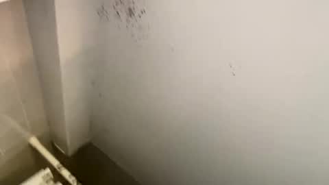 USARUSSIAN online show from October 9, 12:21 pm