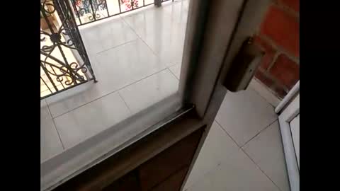 ver_gonblack online show from December 12, 12:44 pm