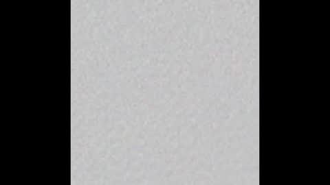 Vincent.  uncut 18cm online show from December 17, 8:12 am