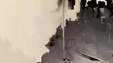 John online show from November 9, 8:57 pm