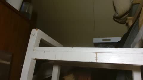 Mac Miller online show from January 8, 12:05 am