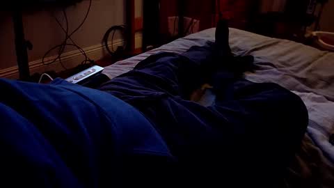 I love the ol in-n-out  online show from March 20, 3:21 am