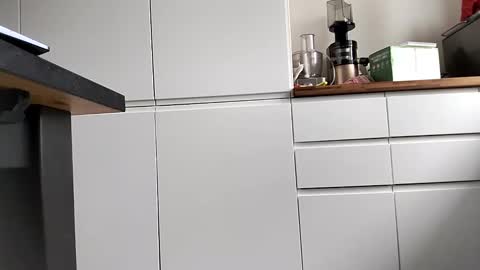 waterpolo66 online show from February 18, 8:16 am