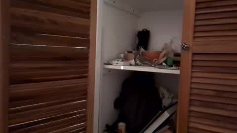 watershed111111 online show from February 7, 10:00 am