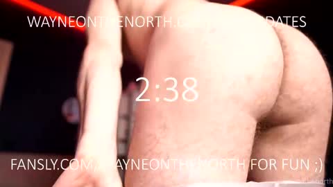 waynenorth online show from April 11, 2:20 pm