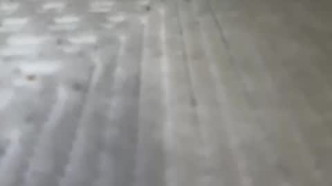 Randy online show from October 7, 3:16 pm