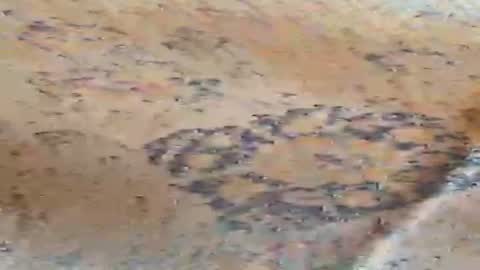 whorekneeweeny online show from June 22, 6:34 pm