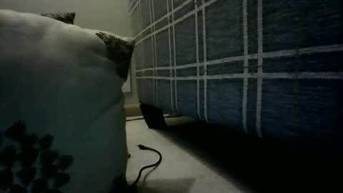 Willhedoher online show from March 4, 12:34 pm