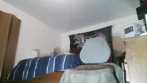 wolfman79 online show from April 8, 11:42 am