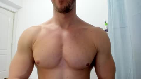 Wolfie online show from February 24, 8:36 pm