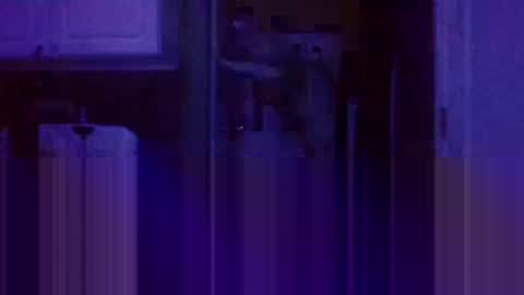 BONER DONOR online show from January 9, 2:11 am