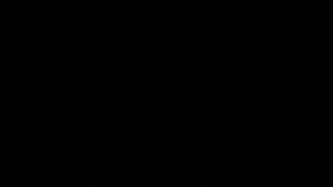 xdtxptx online show from December 1, 8:28 am