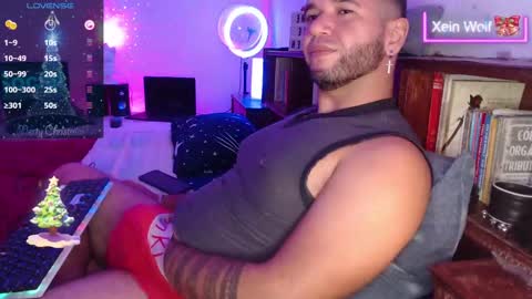 Xein Independent Model online show from December 7, 3:25 am