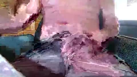 xmen43hot online show from September 18, 8:49 am