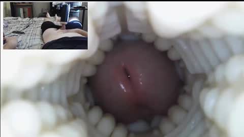 xoxowtf online show from January 5, 11:19 pm