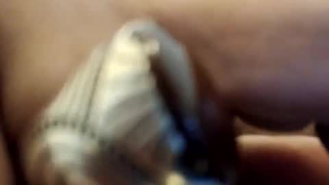 xxooxx77669 online show from June 9, 4:20 pm