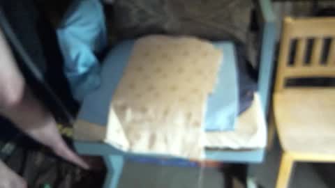 .     y e l l o w s n a k e s       . online show from February 28, 8:24 am