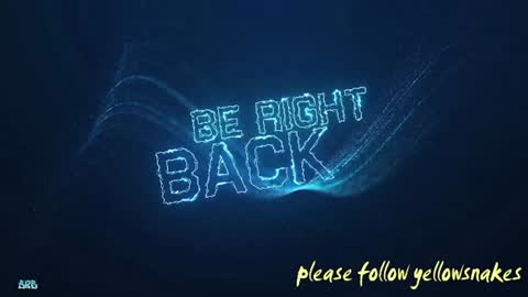 .     y e l l o w s n a k e s       . online show from December 19, 8:28 pm