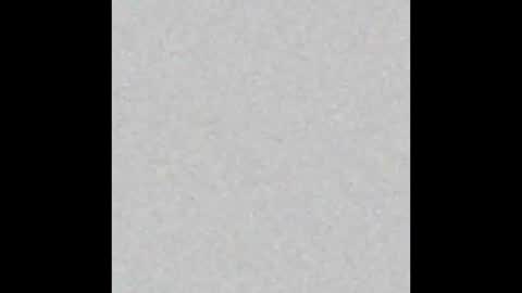 .     y e l l o w s n a k e s       . online show from November 16, 7:10 am