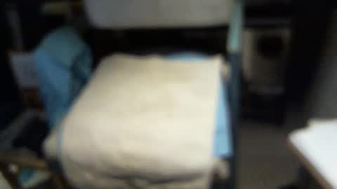 .     y e l l o w s n a k e s       . online show from February 3, 4:43 am