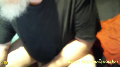 .     y e l l o w s n a k e s       . online show from October 28, 8:06 am