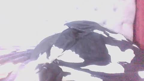 ALEX online show from December 12, 12:05 am