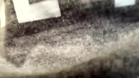 yungstudbev online show from September 24, 5:40 am