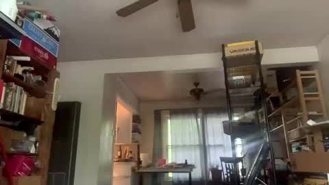 zed_alpha online show from March 28, 2:17 pm