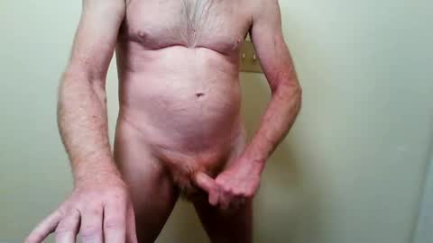 zeplin12 online show from November 1, 12:36 am