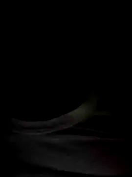 Mr Perfect Man online show from January 8, 11:09 pm