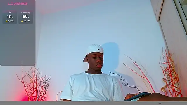 Snapshot of mike_wallace chatting on December 4, 4:49 pm mike wallace online show from December 4, 4:49 pm