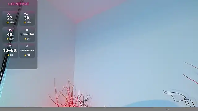 Snapshot of mike_wallace chatting on December 12, 6:21 pm mike wallace online show from December 12, 6:21 pm