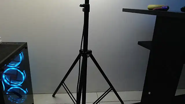 jean sneider online show from January 21, 10:12 am