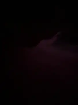 Nosleeptapoutvol1xxx online show from December 15, 1:13 am