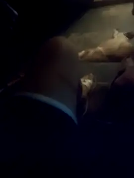 dredre1069 online show from February 23, 2:46 am