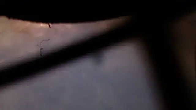 Cordt30 online show from February 12, 4:46 pm