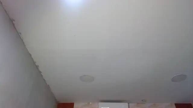 George Dominator online show from December 21, 2:52 am