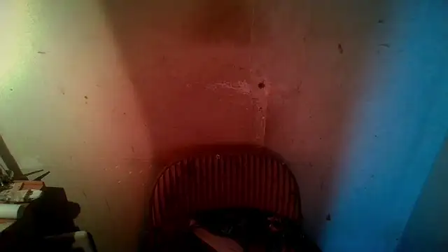 AlanDickson online show from January 14, 9:47 am