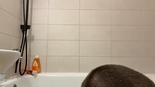 czruz online show from October 8, 12:09 pm