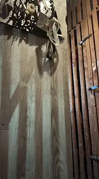 czruz online show from March 16, 10:22 am