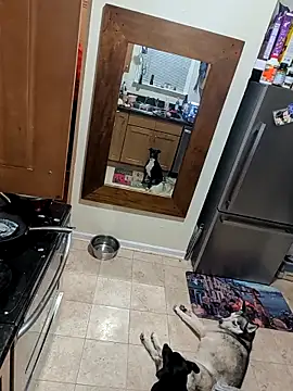 Armyexhibitionistvet online show from November 1, 4:16 am