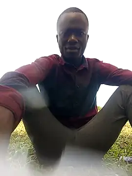 Javan  online show from December 30, 7:37 am