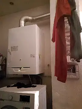 pachapeter online show from February 10, 9:47 am