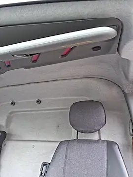 pachapeter online show from February 18, 1:20 pm